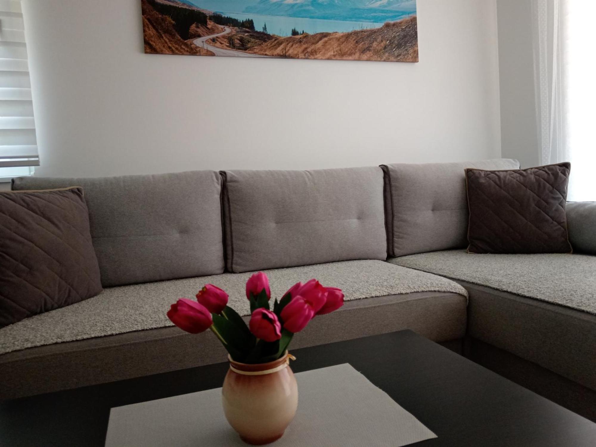 Mk Zlatibor Appartement Buitenkant foto